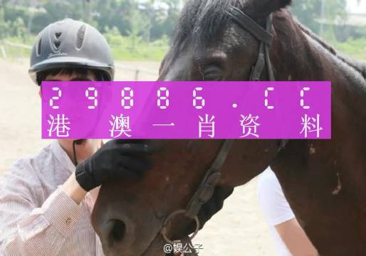 澳门今晚一肖必中特？实用释义解释与落实